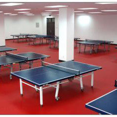 1.8m Largura Relle PVC Vinyl Quadrilha de ténis de mesa