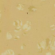 Piso de borracha de relevo A solução perfeita para espaços resistentes a deslizes e absorventes de choques