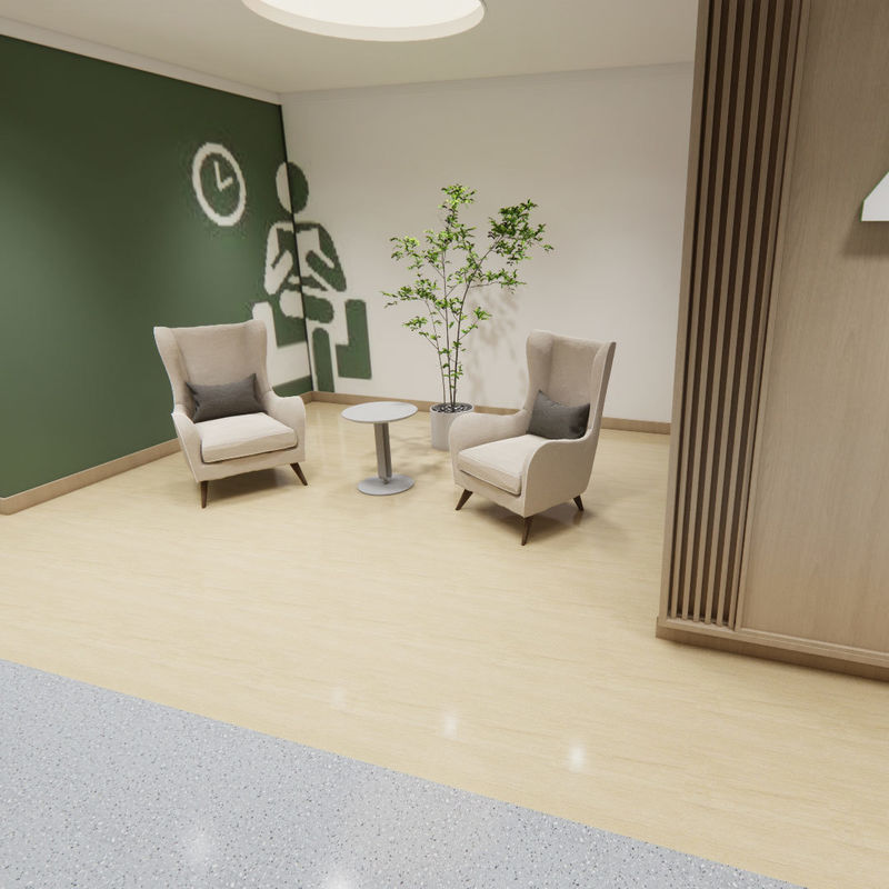 Pavimentos Abrangentes para Idosos em Lares de Idosos – Estilo Higiénico Homogéneo de Grau Médico