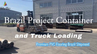 Projeto Brasil Carregamento de Contêineres e Caminhões